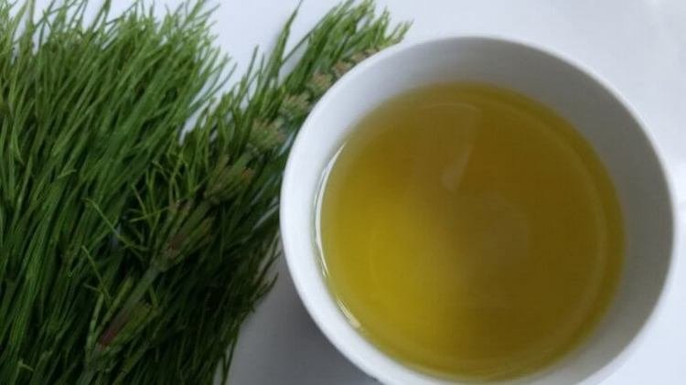 Экстракт Хвоща масляный  